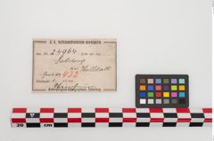Etiketten zu Steinaxt (NHMW-PRAE-024964)